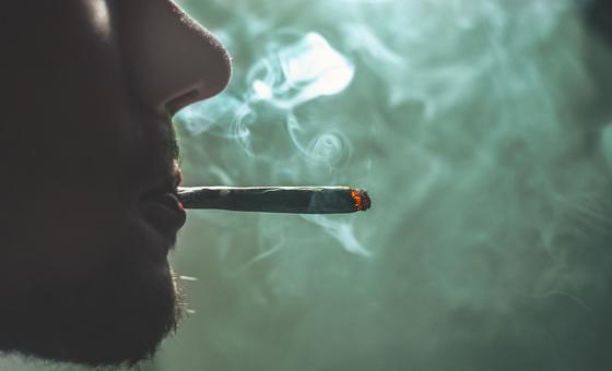La légalisation du cannabis inquiète l’organe de contrôle des stupéfiants de l’ONU